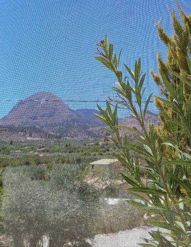 Apartamento Cortijo El Moro