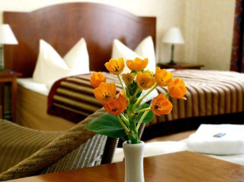 Hotel Safestay Berlin