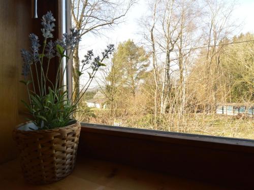 Villa Myrtille Et Marcarssin