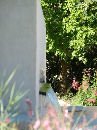 Bed & Breakfast Le Mas De Pi� Caud