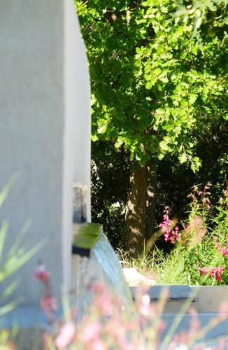 Bed & Breakfast Le Mas De Pi� Caud
