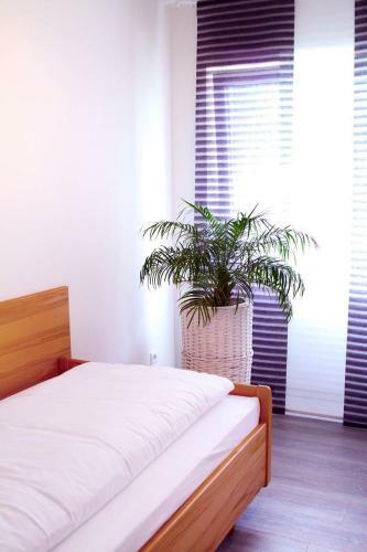 Hostal Hotel Pension Kaempfelbach
