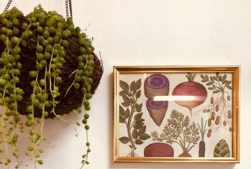 Apartamento Rincon Botanico At Tiagua81 Cosy Studio With Shared Pool