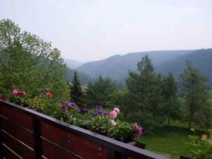 Hostal Gasthaus & Pension Zum Hirsch