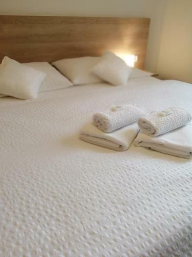 Hostal Pension Paldus