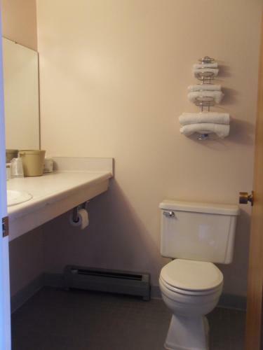 Swan Inn Motel