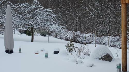 Bed & Breakfast Le Clos Des Aulnes