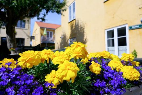 Aparthotel Drag�r Hotel & Apartments