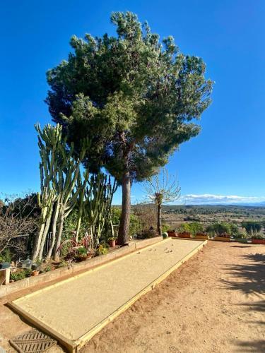 Beautiful Villa With Huge Private Pool And Vineyard View