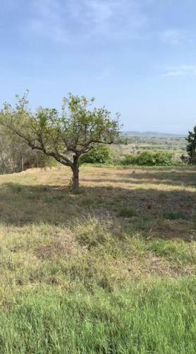Beautiful Villa With Huge Private Pool And Vineyard View