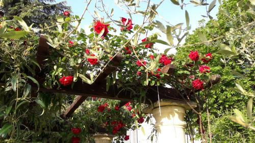 Bed & Breakfast La Chenaie