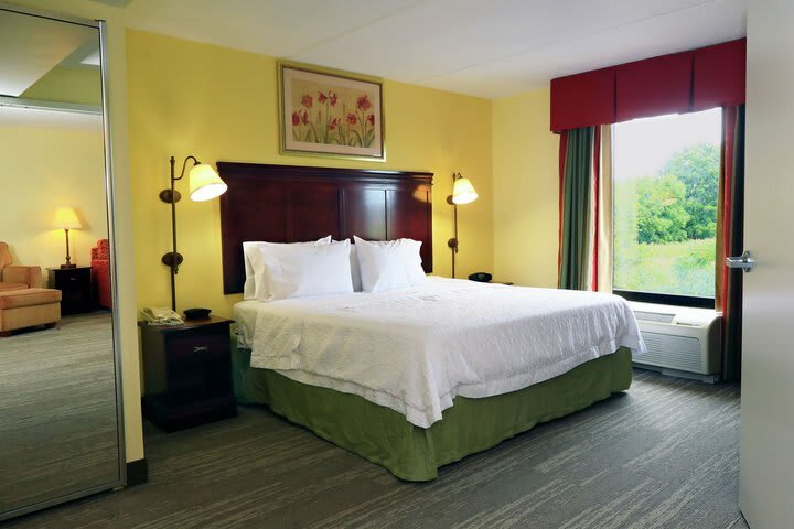 Hotel Hampton Inn And Suites Of Lamar
