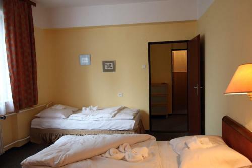 Hotel Medlov
