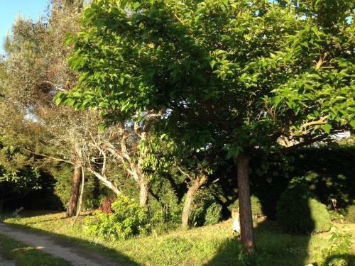 Apartamento Appartement Wisteria