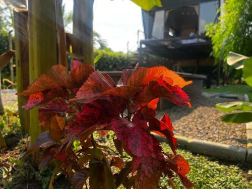 Agroturismo Ruztico Glamping