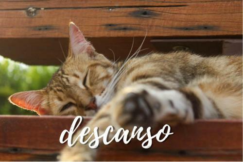 Agroturismo Ruztico Glamping