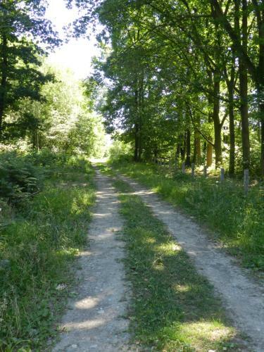 B&B Le Bois De Champia
