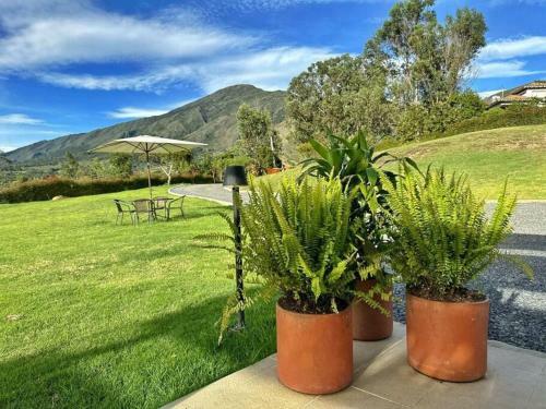 Casa Aran� - Vista Espectacular Y Mucho Jard�n