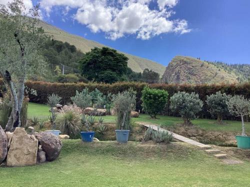 Villa Casa De Los Olivos!