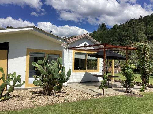 Villa Casa De Los Olivos!