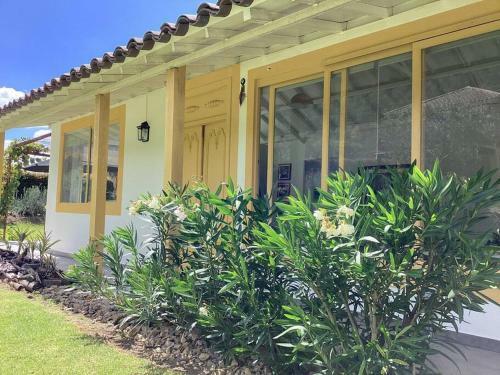 Villa Casa De Los Olivos!