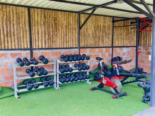 Buho Caba�a Santa Elena