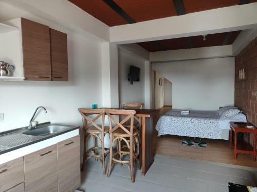 Apartamento C�modo Estudio En La V�a A Termales