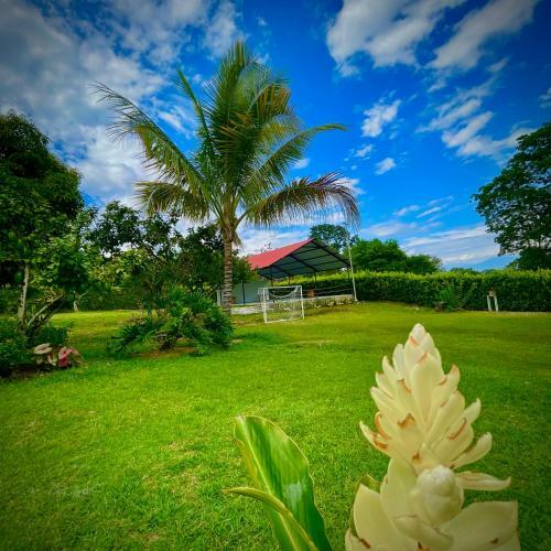 Finca Santa Clara, Rivera-huila
