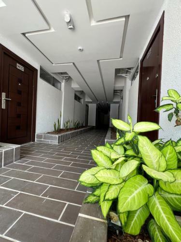 Oasis Apartamentos Tur�sticos, San Jer�nimo