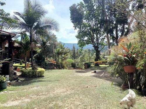 Villa Saturia