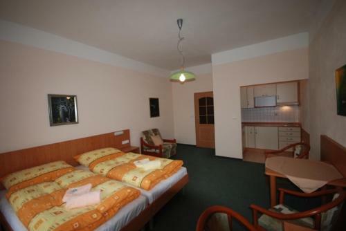 Posada Penzion Ruze