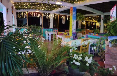 Bed & Breakfast Hostal Los Balcones