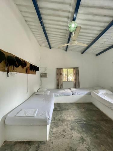 La Casa Del Franc�s Palomino