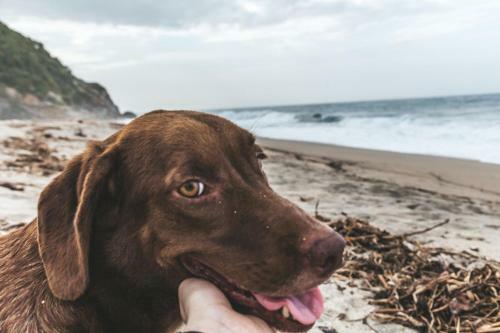 Posada Caba�a Wiwa Tayrona