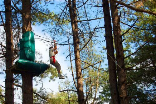 Camping Des Roses