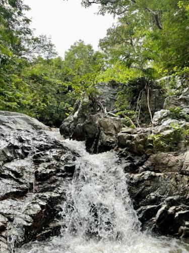 Tayrona Hostel Sm