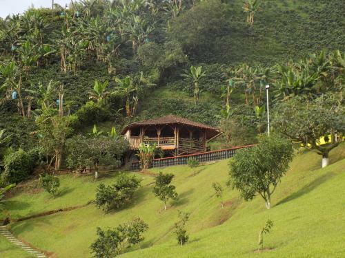 Finca La Esperanza Pereira