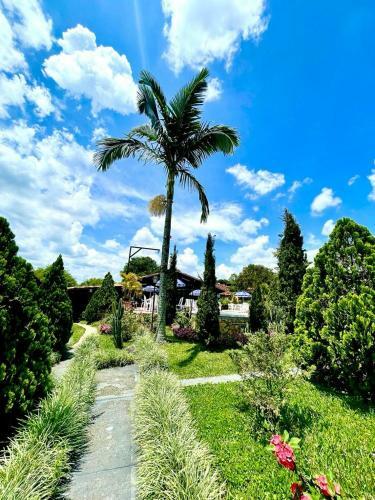 Hotel Campestre La Primavera Del Quind�o