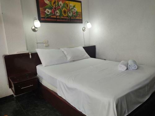 Hotel Villa Del Rosario Nuevo