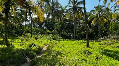 Casa Xue Tayrona - Alma Hotels
