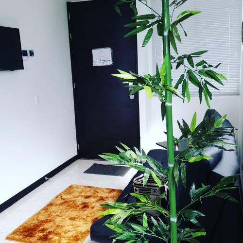 Apartamentos Piscina Y Parque Del Caf�