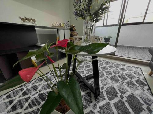 Apartamento Amplio Y Acogedor Cerca Al Mall Plaza