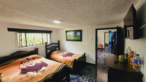 Hospedaje Campestre Los Pinos