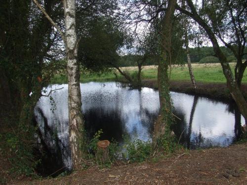 Bed & Breakfast Au Parc Aux Li�vres
