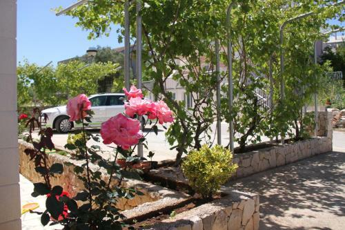 Apartments Lucia