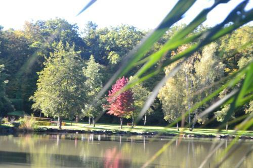 Hotel Restaurant Des Lacs