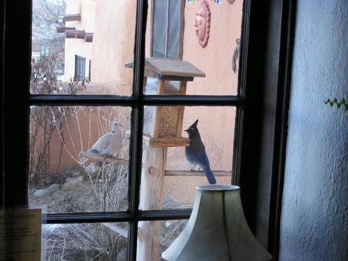Old Taos Guesthouse B&B
