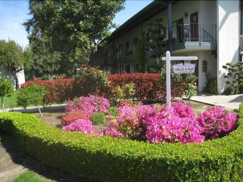 Motel Lamp Liter Inn