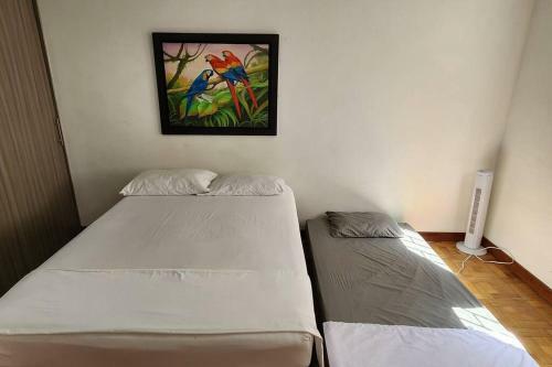 Apartamento Royal Park Laureles - Zona Rosa