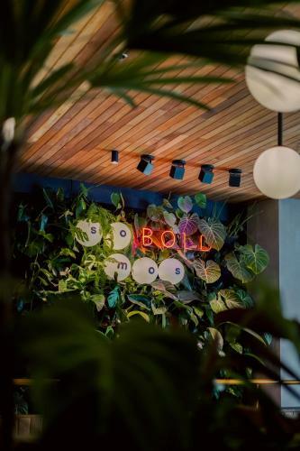 The Somos Bold Hotel